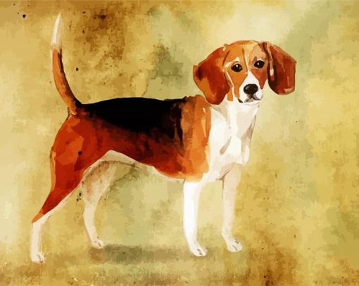 Beagle Dog Art paint by numbers