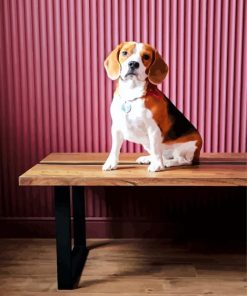 Beagle Dog On The Table paint by number