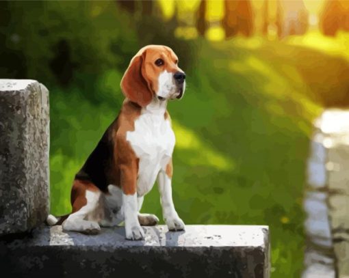 Beagle Dog paint by number