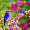 Beautiful Spring Nature paint by number