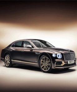 Bentley Flying Spur 2021 Hybrid paint by number