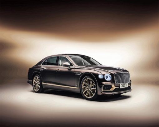 Bentley Flying Spur 2021 Hybrid paint by number