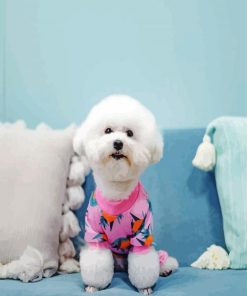 Bichon Wearing Pajamas paint by numbers