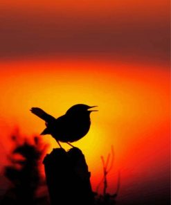 Bird Silhouette paint by numbers