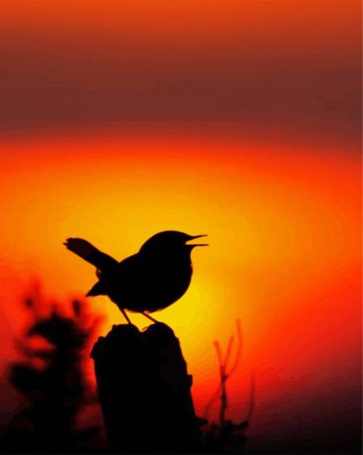 Bird Silhouette paint by numbers