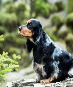 Black English Cocker Spaniel paint by number