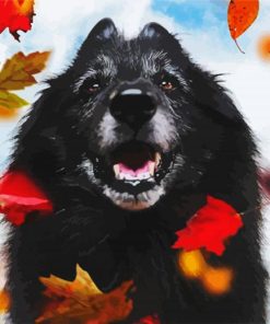 Black Tervuren And Leaves paint by number