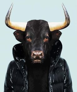 Black Bull Wearing A Jacket paint by numbers