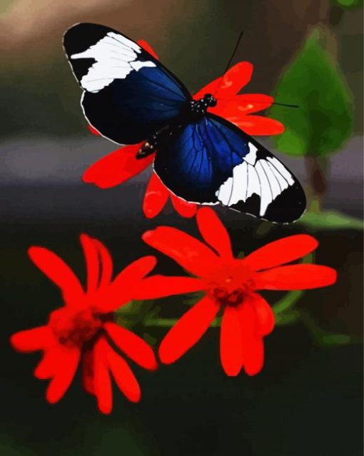 Black Butterfly And Red Flower paint by numbers