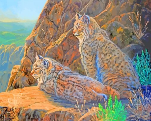 Bobcats Animals paint by numbers