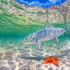 Bonefish Underwater Art paint by number