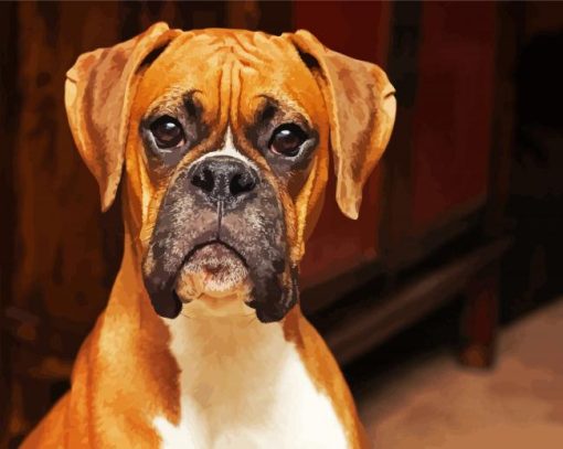 Brown Boxer Dog paint by number