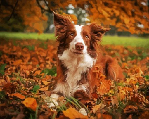 Brown Collie paint by numbers