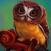 Brown Owl paint by numbers