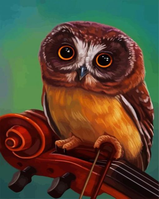 Brown Owl paint by numbers