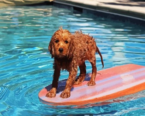 Cavapoo Swimming Pool paint by number