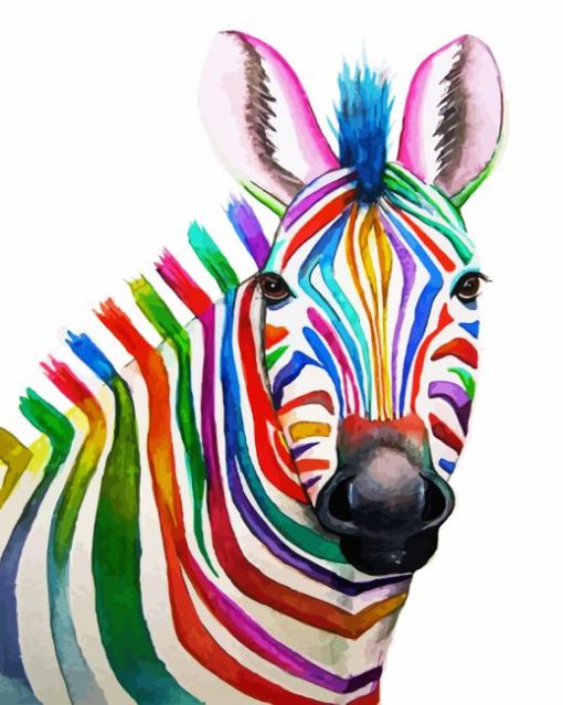 Colourful Zeebra Animal Art paint by numbers