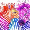 Colourful Zeebras paint by numbers