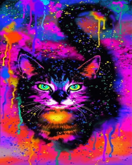 Colorful Cat paint by numbers