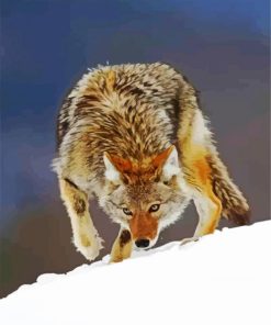 Coyote In Snow paint by numbers