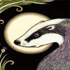 Cute European Badger paint by numbers