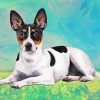 Cute Rat Terrier paint by number