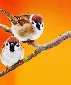 Cute Sparrows paint by number