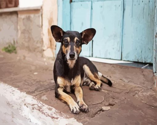 Cute Street Dog paint by number