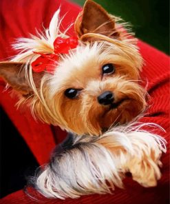 Cute Yorkie paint by numbers