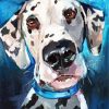 Dalmatian Dog paint by numbers