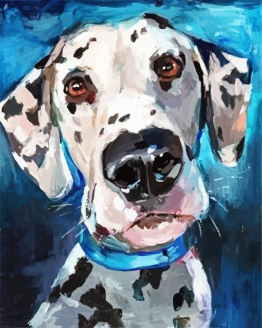 Dalmatian Dog paint by numbers