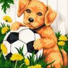 Dog And Football paint by numbers