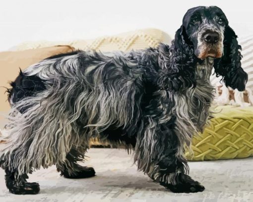 English Cocker Spaniel paint by numbers