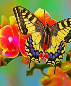 Flower Swallowtail paint by number