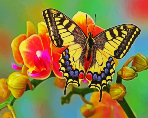 Flower Swallowtail paint by number