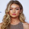 Gigi Hadid paint by numbers