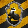 Hufflepuff Logo paint by numbers