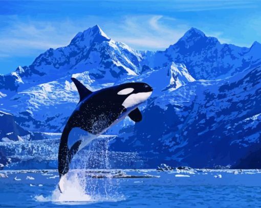 Killer Whale paint by number