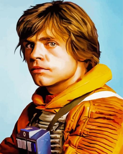 Luke Skywalker Star Wars Movie paint by numbers