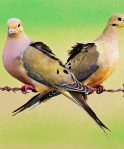 Mourning Doves paint by number