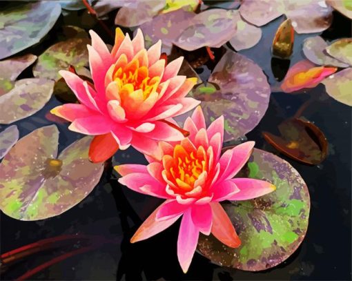 Pink Waterlily paint by numbers