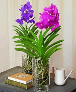 Purple And Pink Vanda Flowers paint by number