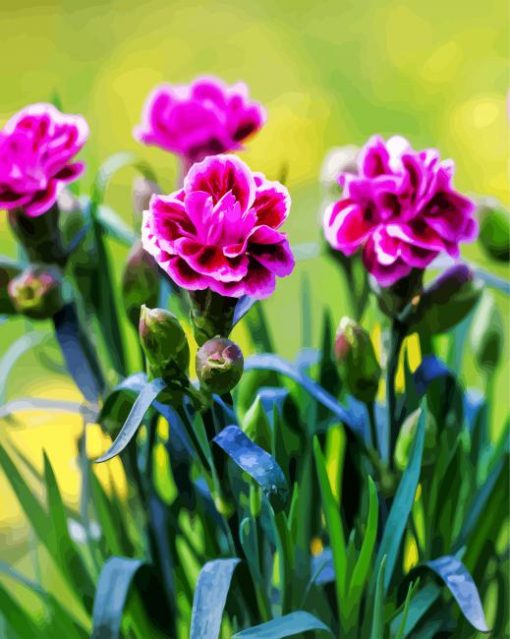 Purple Carnations paint by number