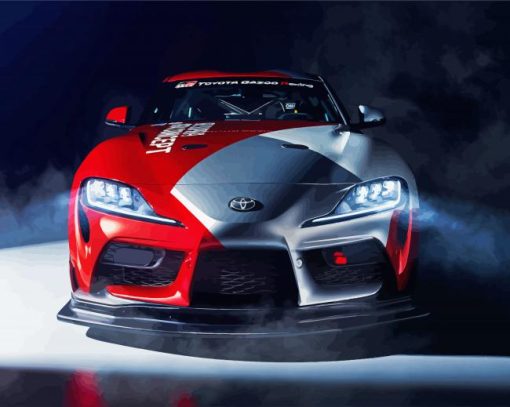 Red And Grey Supra paint by numbers