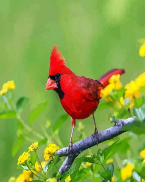 Red Cardinal Bird paint by number