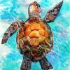 Sea Turtle paint by numbers