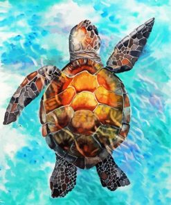 Sea Turtle paint by numbers