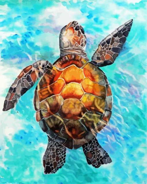 Sea Turtle paint by numbers