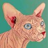 Sphynx Cat paint by numbers