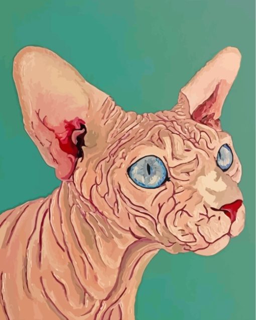 Sphynx Cat paint by numbers